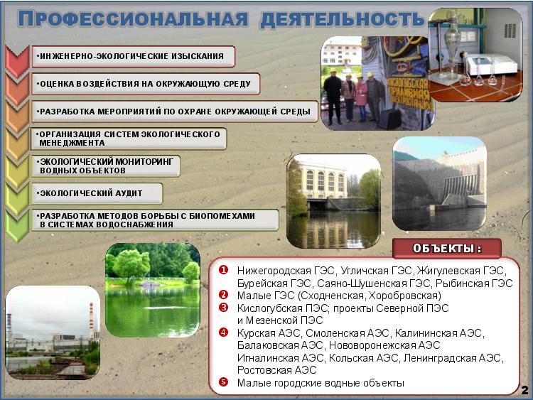 Слайд-2. Профессиональная деятельность