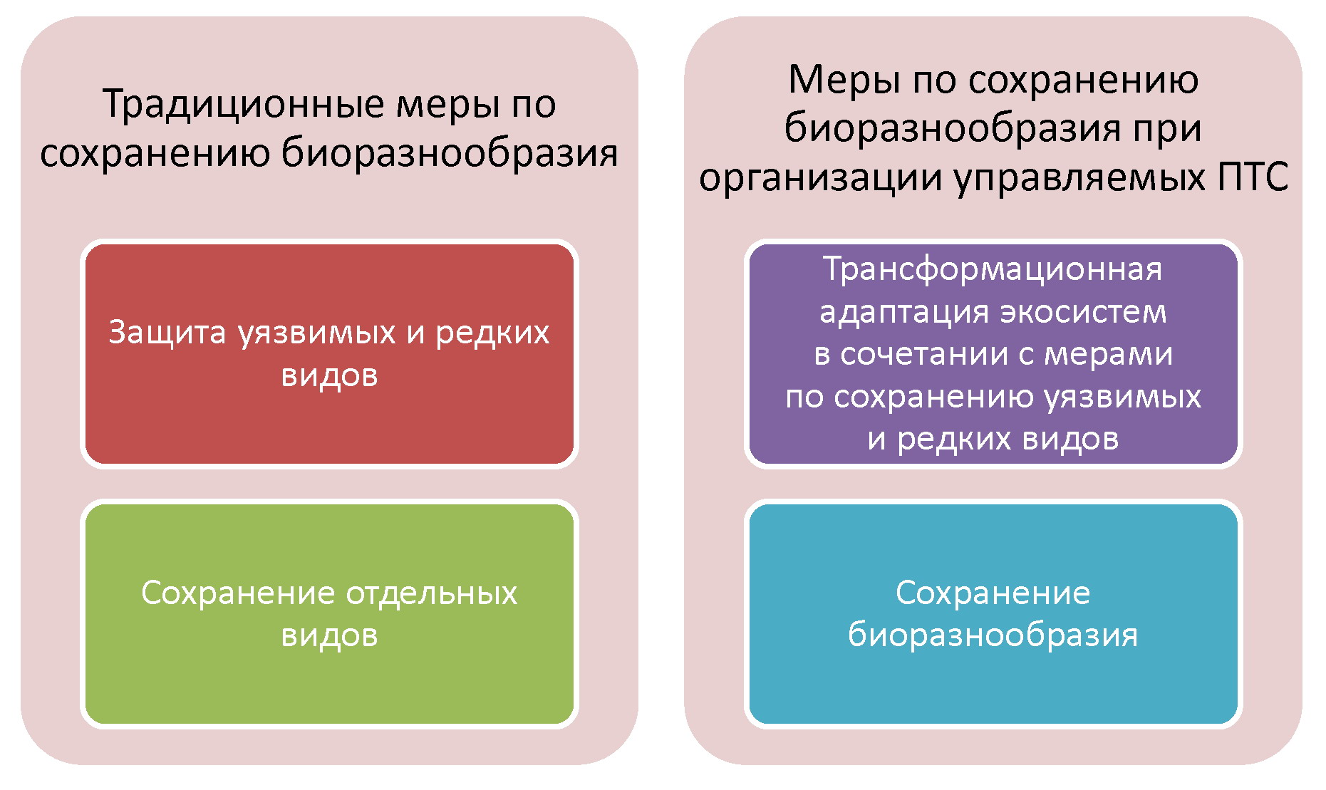 Схема сохранение биоразнообразия 